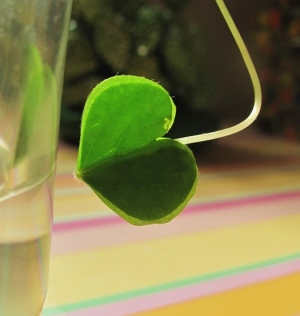 Green Heart   