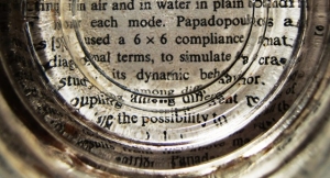 Magnifier      
